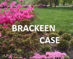 Read CAICW's Amicus in the Brackeen ICWA case